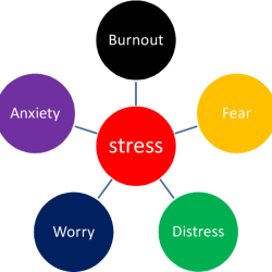 Ati stress causes effects and management