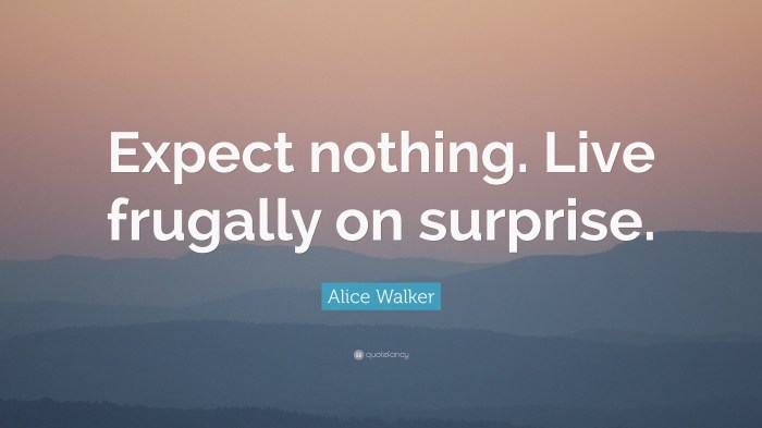 Expect nothing by alice walker