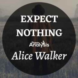 Expect nothing by alice walker