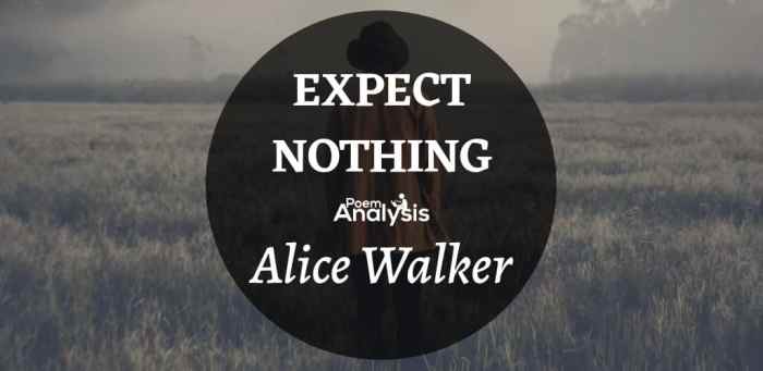 Expect nothing by alice walker