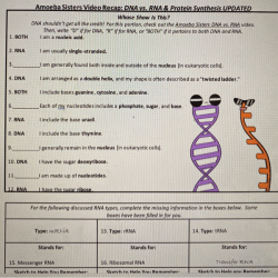 Dna and rna worksheet answer key pdf