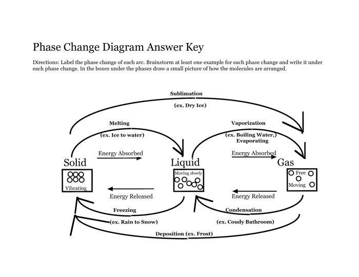 Phase change graph worksheet answers