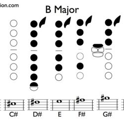 Concert e flat scale alto sax