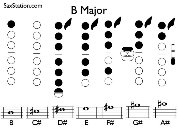 Concert e flat scale alto sax