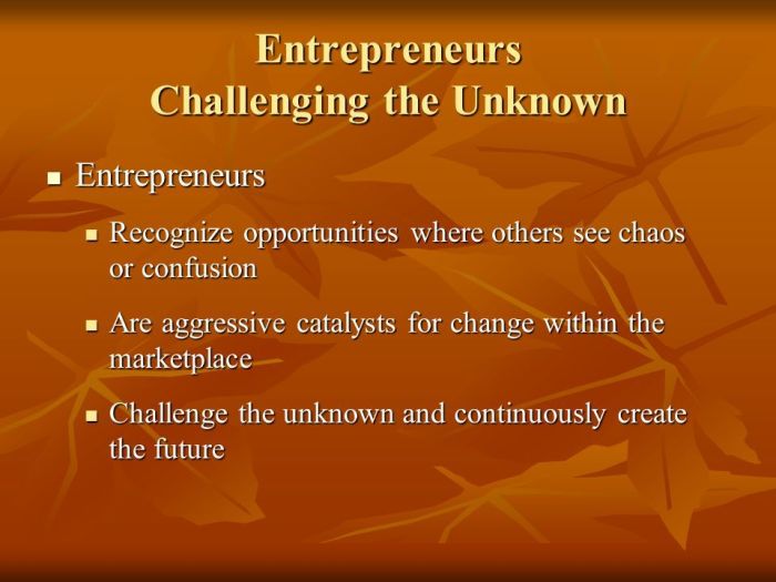 Entrepreneurs are aggressive catalysts for change within the marketplace